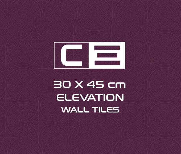 30 x 45 cm Elevation